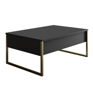 Coffee Table Luxe - Anthracite, Gold