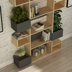 Bookshelf Niho - Oak, Anthracite